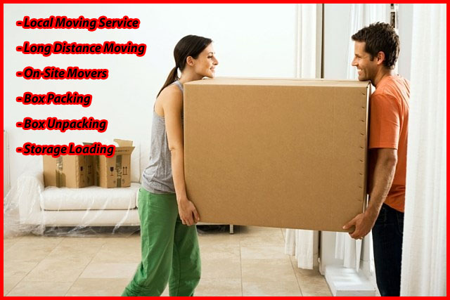 Packers And Movers Noida Sector 91